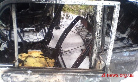 У Новограді-Волинському під час самостійного гасіння палаючого автомобіля отримали опіки 2 особи