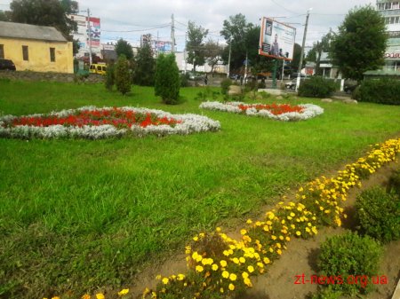 У Житомирі відзначили переможців конкурсу «Моє квітуче місто»