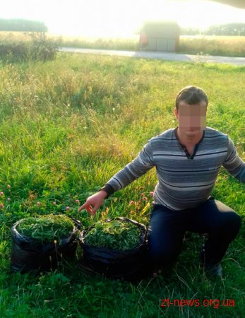 На Чуднівщині поліцейські затримали двох чоловіків з 16 кілограмами коноплі
