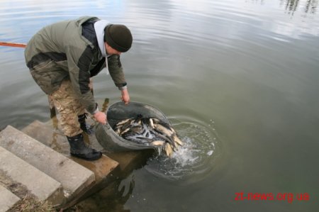 Житомирське водосховище хочуть зарибити