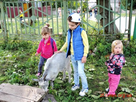 Фестиваль «Свято українського коня» зібрав близько тисячі гостей
