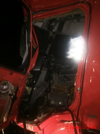 На Житомирщині автомобіль «DAF», який перевозив ліс, перекинувся на бік