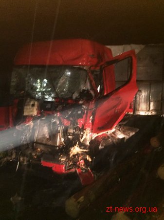 На Житомирщині автомобіль «DAF», який перевозив ліс, перекинувся на бік
