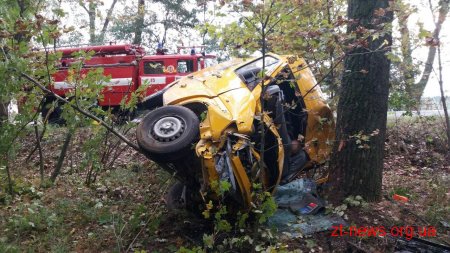На Житомирщині автомобіль з’їхав у кювет і перевернувся на бік