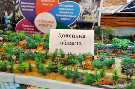 На Житомирщині представники 23 областей беруть участь у Всеукраїнському злеті шкільних лісництв