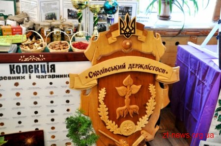 На Житомирщині представники 23 областей беруть участь у Всеукраїнському злеті шкільних лісництв