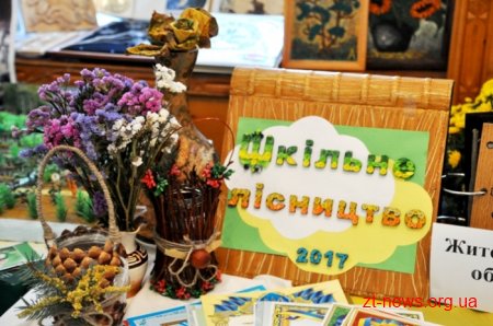 На Житомирщині представники 23 областей беруть участь у Всеукраїнському злеті шкільних лісництв