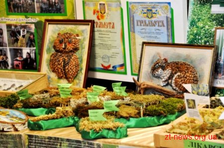 На Житомирщині представники 23 областей беруть участь у Всеукраїнському злеті шкільних лісництв