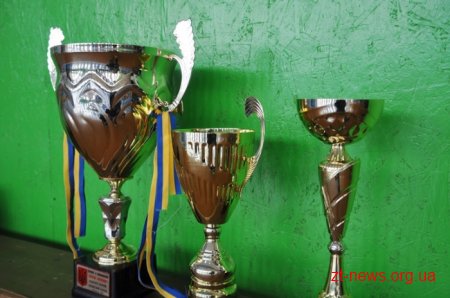 Волейбольний клуб «Житичі» здобув дві перемоги