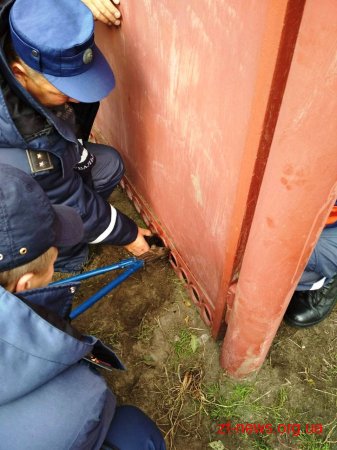 Житомирські рятувальники вивільнили цуценя, яке застрягло в огорожі