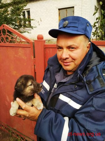 Житомирські рятувальники вивільнили цуценя, яке застрягло в огорожі