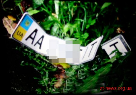 Правоохоронці затримали грабіжника, який викрав сумку з автомобіля житомирянки