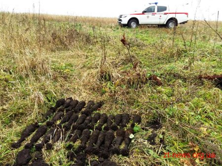 На Житомирщині «мисливці» за металобрухтом натрапили на 44 мінометні міни
