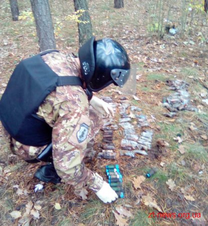 У Житомирському районі поліцейські знешкодили сховок з піротехнікою У Житомирському районі поліцейські знешкодили сховок з піротехнікою
