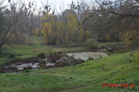 У Житомирі розпочали будівництво пішохідної доріжки до річки Кам'янки
