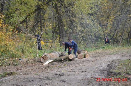 У Житомирі розпочали будівництво пішохідної доріжки до річки Кам'янки