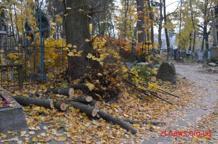 Триває реалізація проекту бюджету участі «Польський цвинтар»