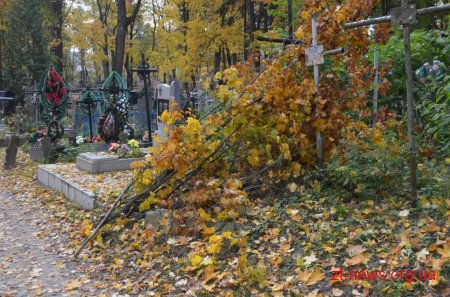 Триває реалізація проекту бюджету участі «Польський цвинтар»
