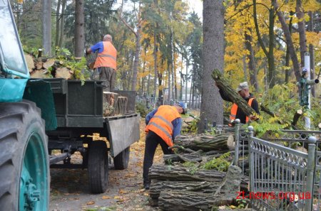 Триває реалізація проекту бюджету участі «Польський цвинтар»