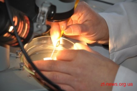 У Житомирі відкрили фітосанітарну лабораторію, в якій проводитимуть експертизу рослинної продукції