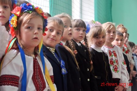 У селі на Житомирщині відкрили футбольний майданчик зі штучним покриттям