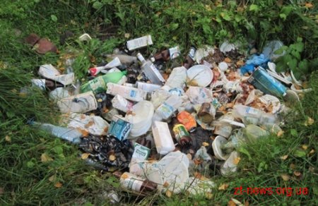 Житомирянину доведеться заплатити за засмічення лісу
