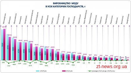 Житомирщина займає 1 місце в Україні з виробництва меду
