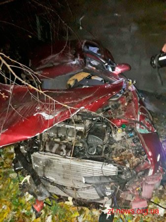 У Житомирі автомобіль зіткнувся з деревом, а потім зі стіною будинку