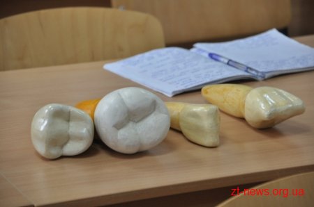 У Житомирі на базі інституту медсестринства створили новий навчальний заклад