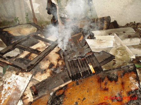 На Житомирщині батько виявив сина мертвим на палаючому ліжку