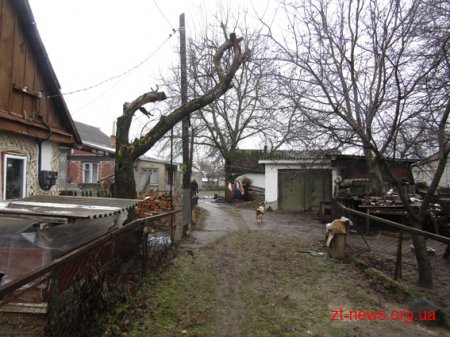 У Новоград-Волинському двоє юнаків обікрали пенсіонерку