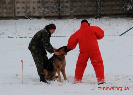 У Житомирі відбувся перший випуск поліцейських кінологів
