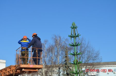 У Житомирі почали встановлювати головну ялинку міста
