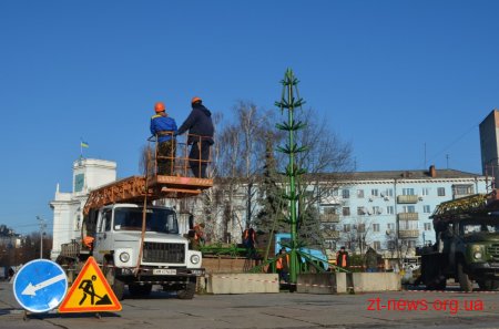 У Житомирі почали встановлювати головну ялинку міста