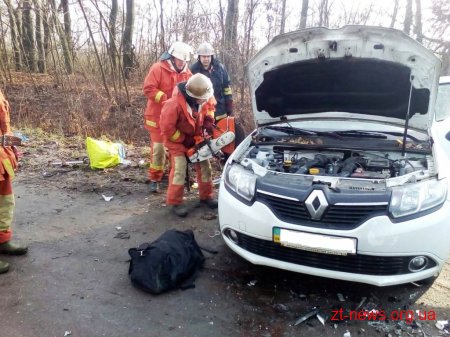 На Житомирщині водій Renault вилетів на зустрічну та зіткнувся з Toyota