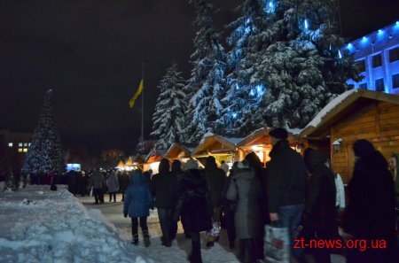 У Житомирі без урочистостей "запалили" новорічну ялинку