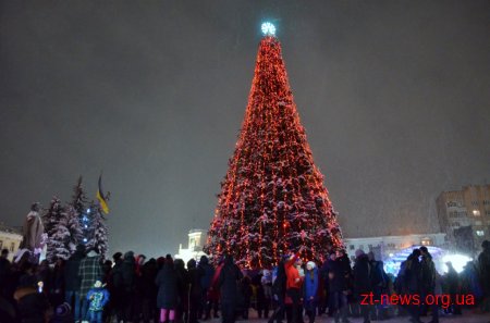 У Житомирі без урочистостей "запалили" новорічну ялинку