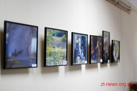 У Житомирі нагородили переможців щорічного обласного фотоконкурсу