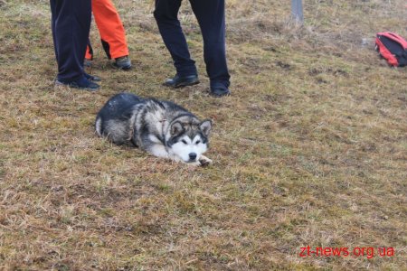 Житомирські школярі взяли участь в змаганнях «Пошуково-рятувальні роботи в зимових умовах»