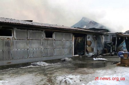 У Новоград-Волинському згорів магазин будівельних матеріалів