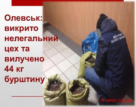 На Житомирщині викрили підпільний цех з обробки бурштину