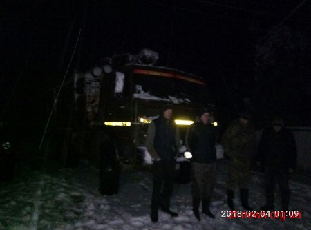 Цими вихідними в Городницькому лісгоспі затримали КАМАЗ із нелегальною деревиною