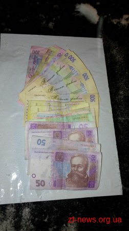У Житомирі поліцейські затримали чергових гастролерів-домушників