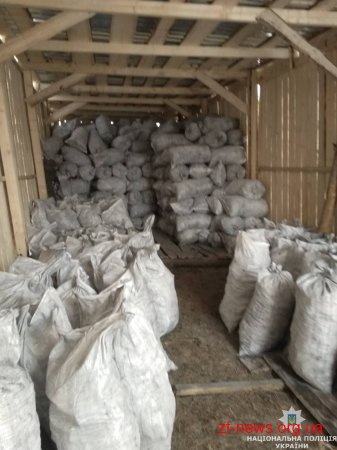 Поблизу Житомира поліція викрила та припинила нелегальне виробництво вугілля
