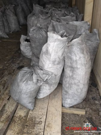 Поблизу Житомира поліція викрила та припинила нелегальне виробництво вугілля