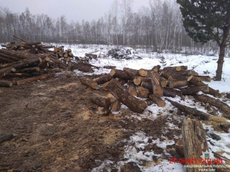 Поблизу Житомира поліція викрила та припинила нелегальне виробництво вугілля