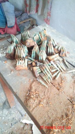 Патрони часів другої світової війни виявили  прикордонники на Житомирщині