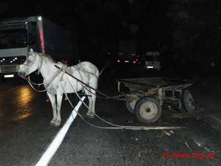 На трасі Київ – Ковель в Олевському районі Renault зіткнувся з гужовою повозкою