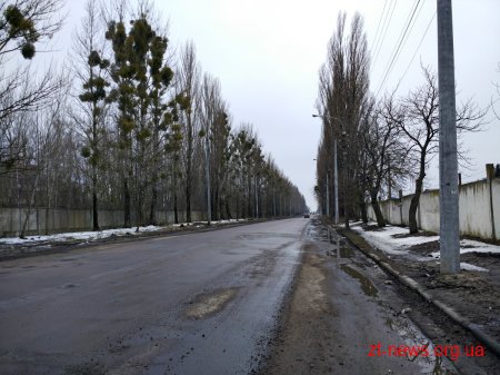 В Житомирі до травня планують завершити монтаж ще однієї тролейбусної лінії