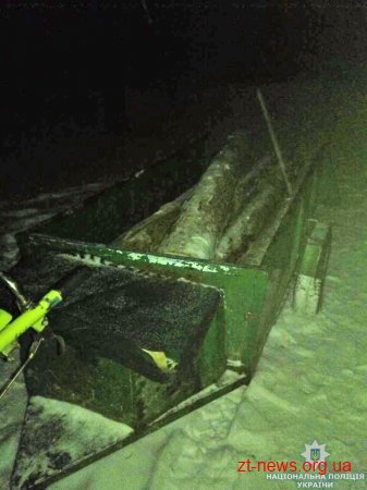 На Житомирщині поліція затримала двох жителів Коростеня, які незаконно зрізали 8 сосен